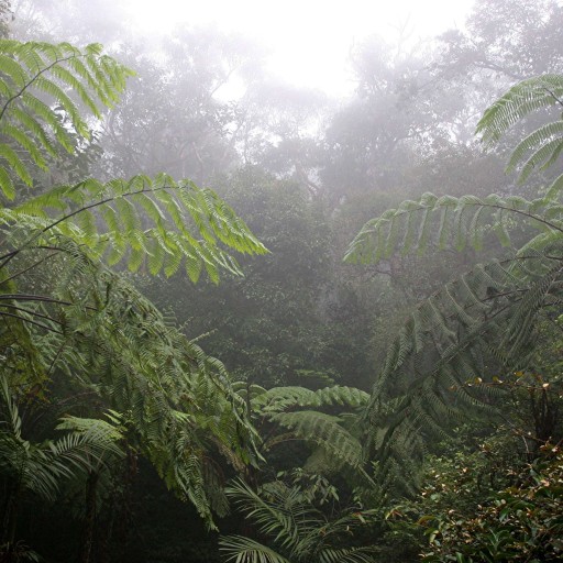German Word of the Day - humid (adjective)