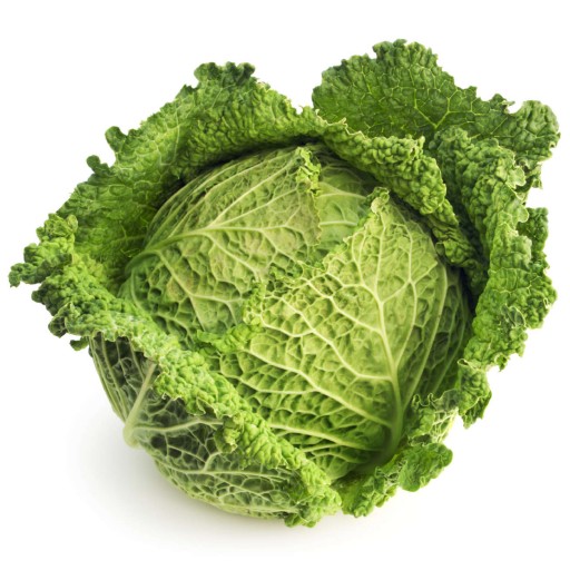 German Word of the Day cabbage (noun)