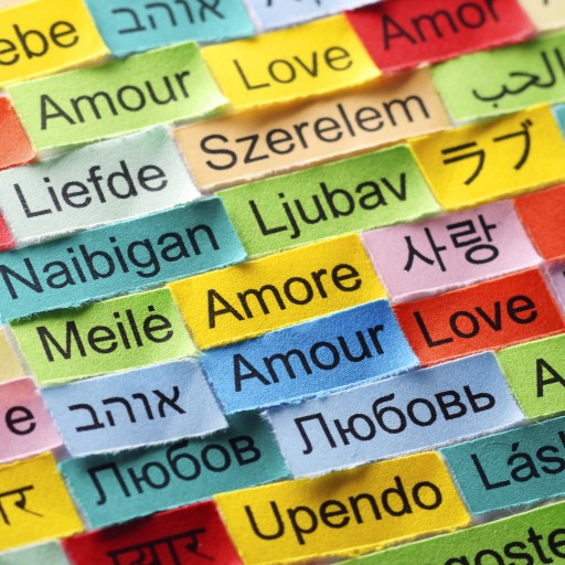 Language Buff Top 7 Lessons You'll Need To Improve Your Language Skills