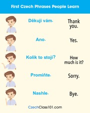 get the free infographic