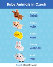 get the free infographic