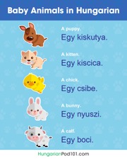 get the free infographic