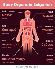 get the free infographic