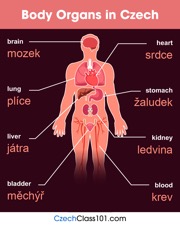 get the free infographic