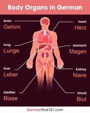get the free infographic
