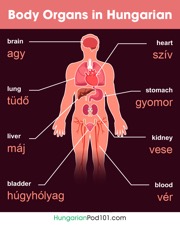 get the free infographic