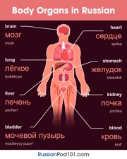 get the free infographic
