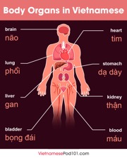 get the free infographic