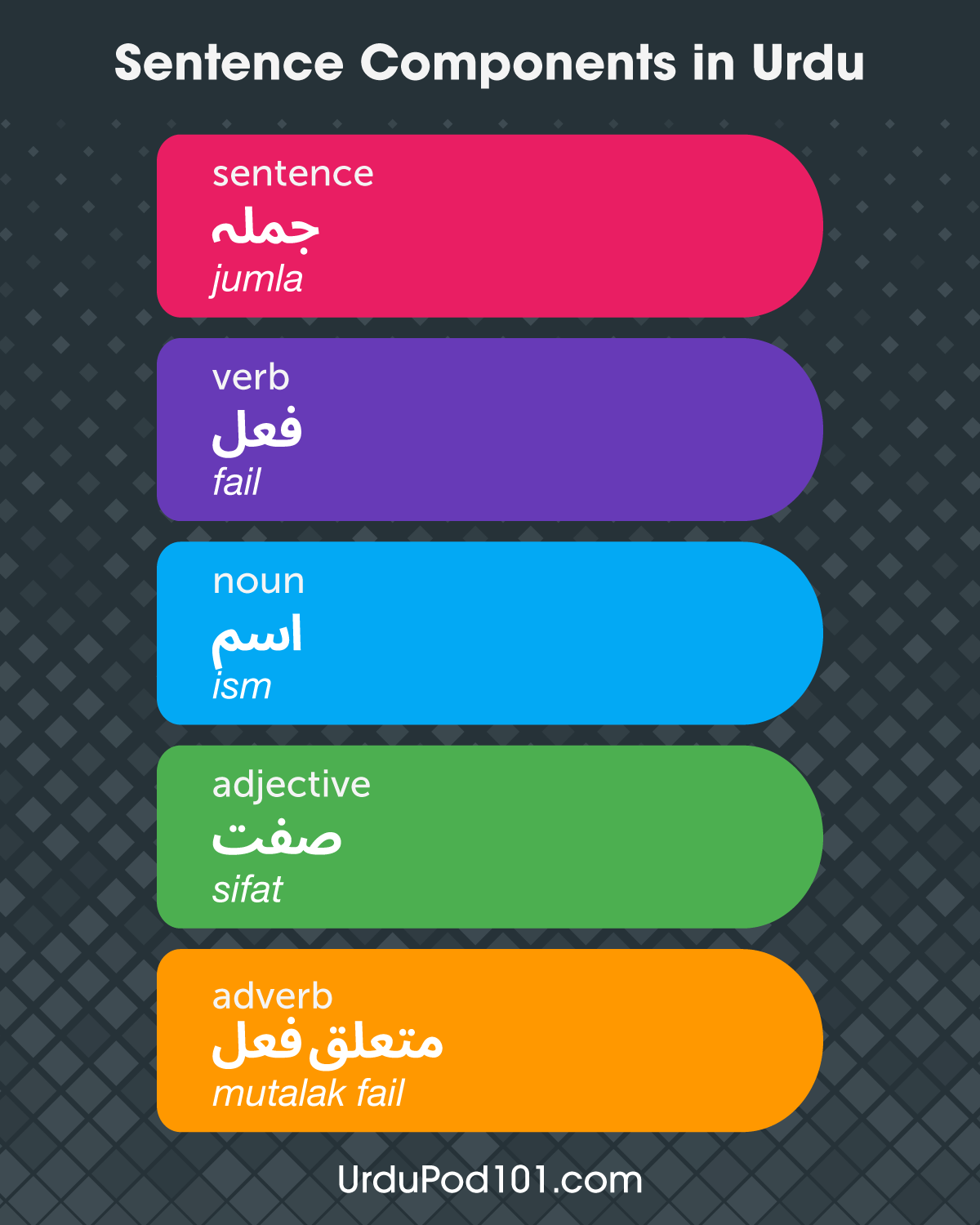 Basic Urdu Sentence Patterns You Can Use Right Away