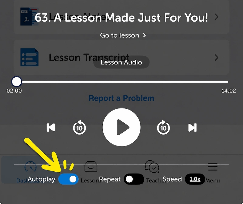 Learn Vietnamese while driving hands-free with vietnamese Autoplay.