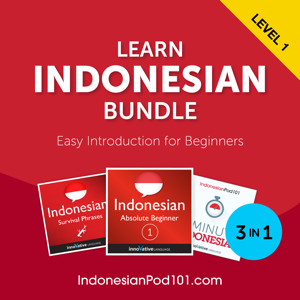 Learn Indonesian Bundle: Easy Introduction for Beginners, Level 1 audiobook cover