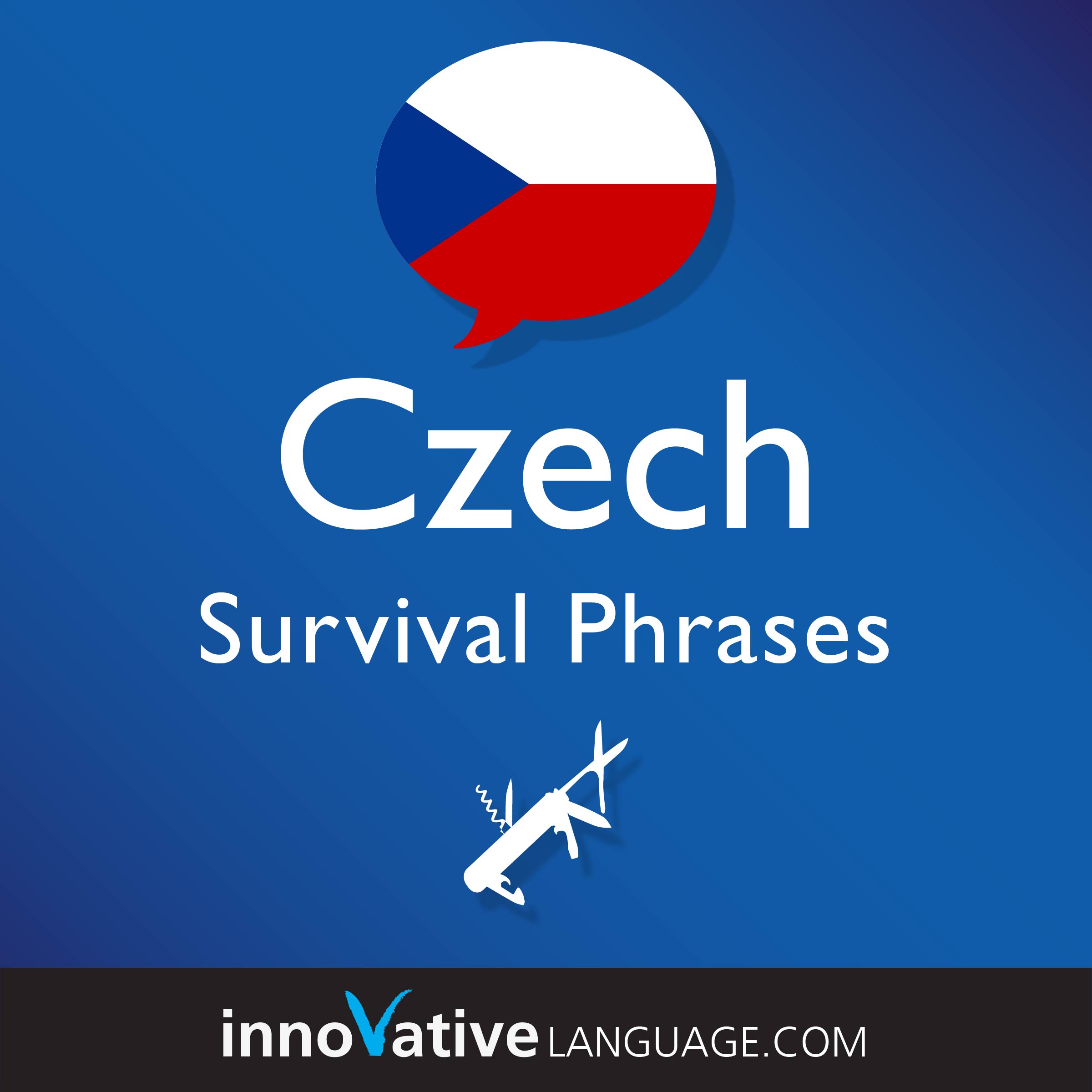 Free Survival Phrases audiobook for learning Czech while driving.