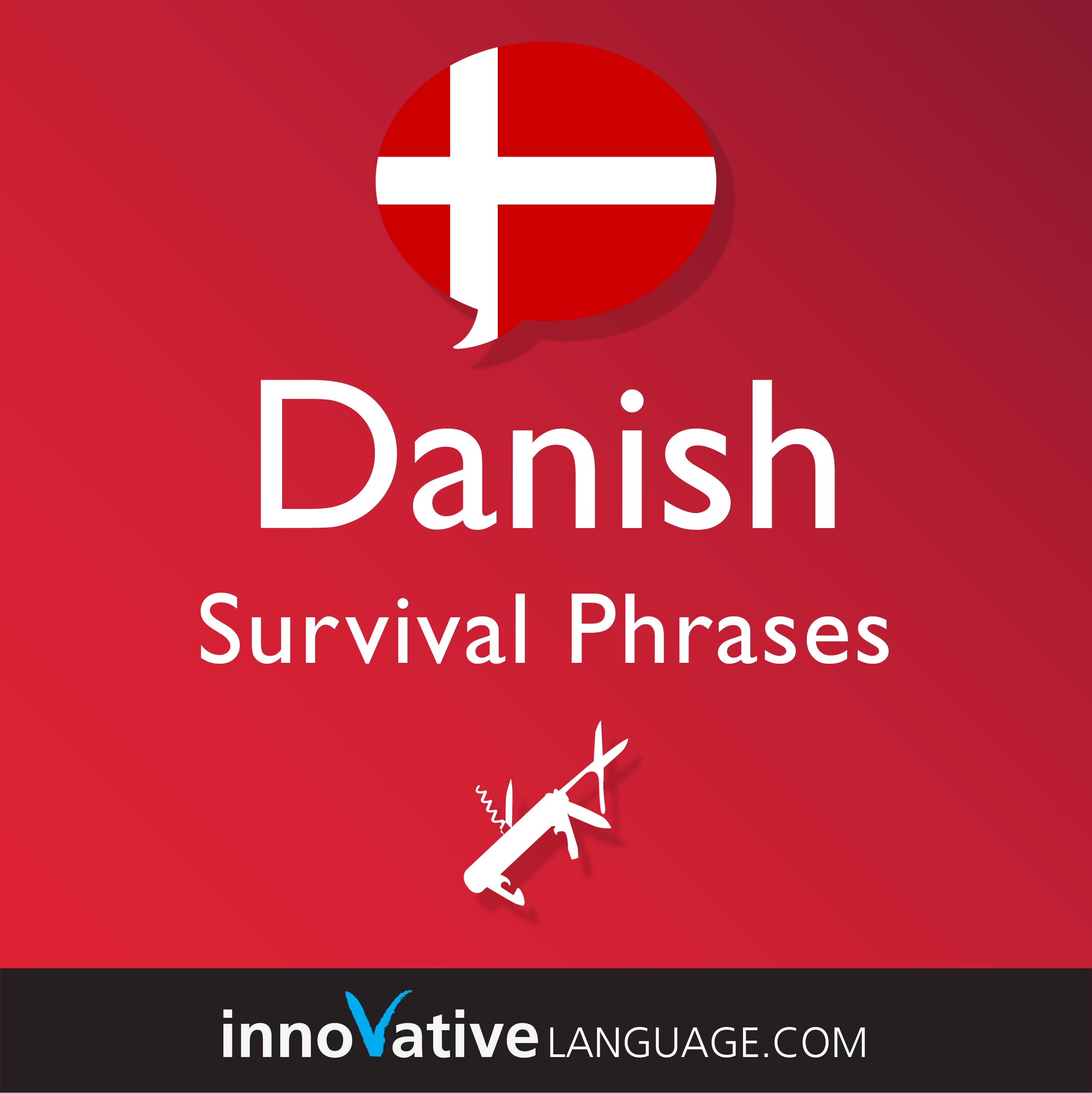 Free Survival Phrases audiobook for learning Danish while driving.