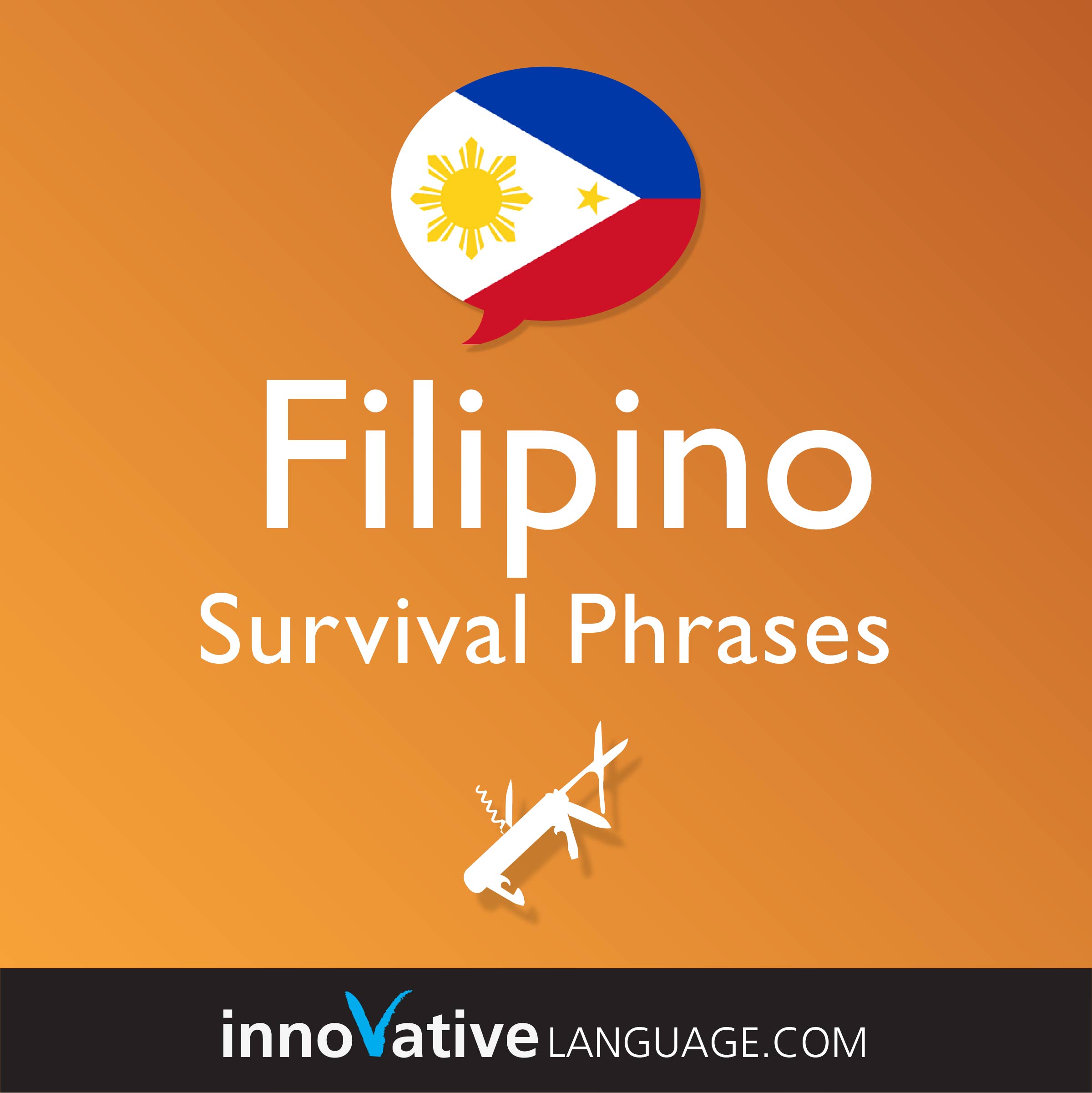 Free Survival Phrases audiobook for learning Filipino while driving.