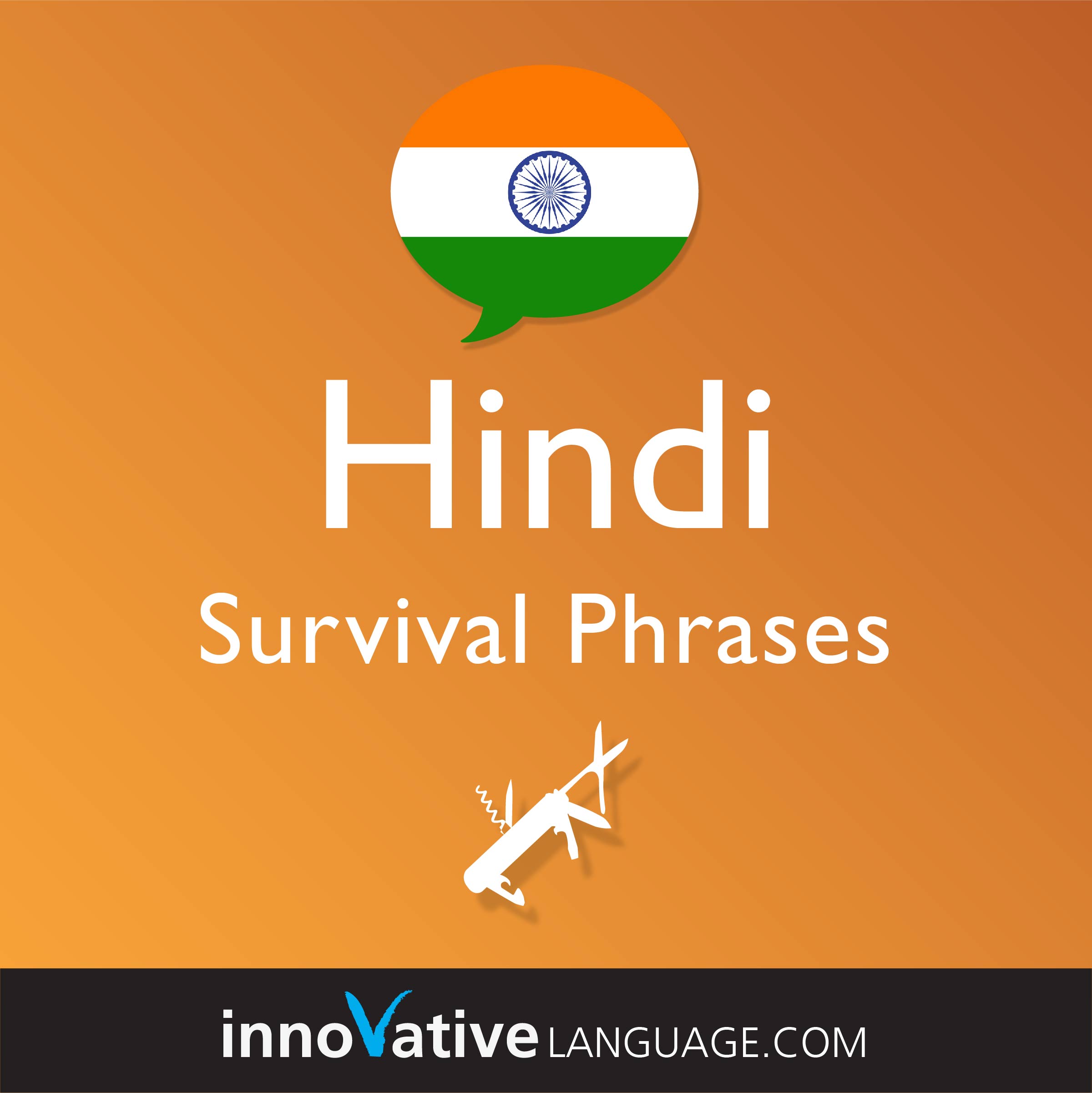 Free Survival Phrases audiobook for learning Hindi while driving.