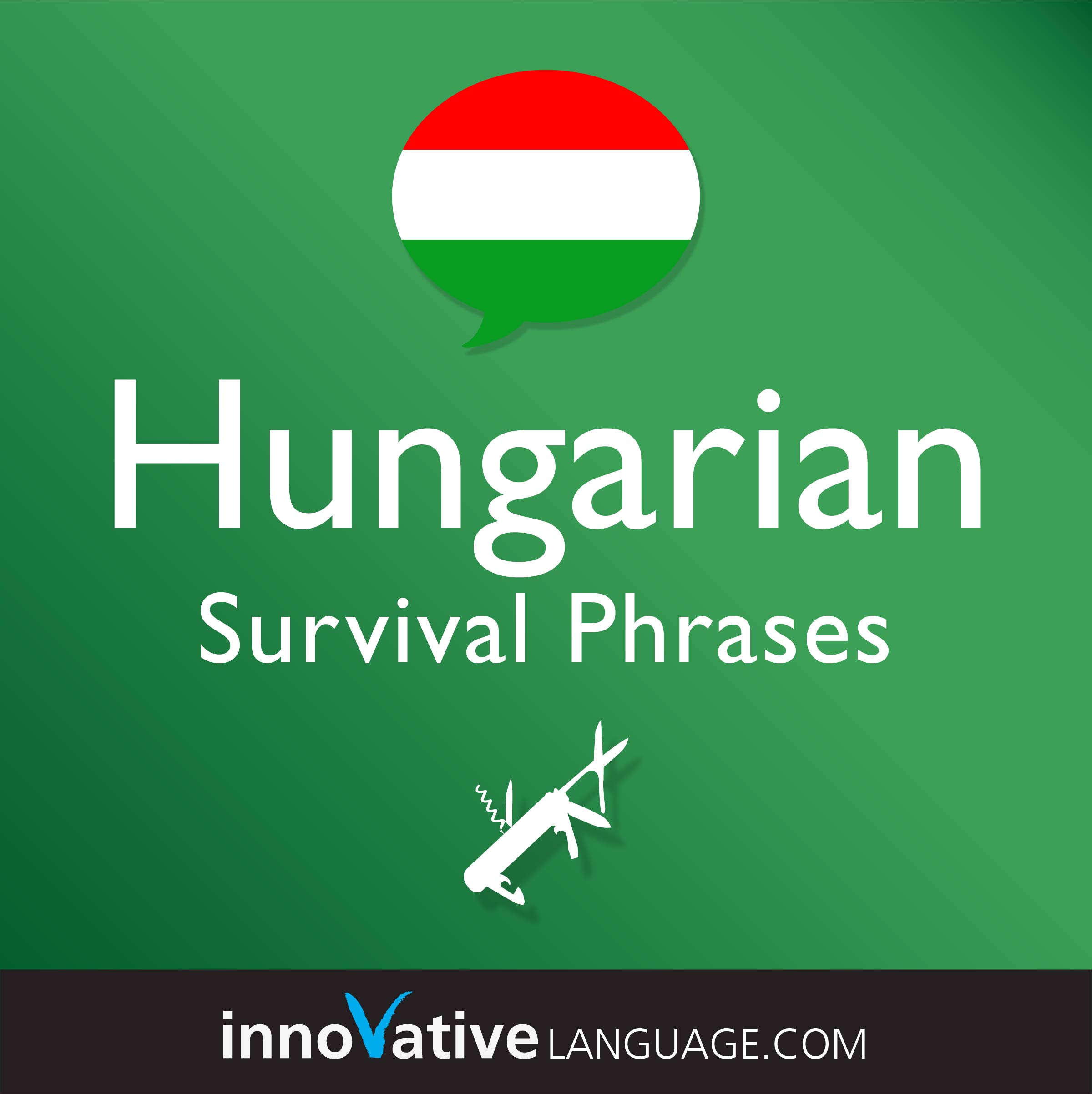 Free Survival Phrases audiobook for learning Hungarian while driving.