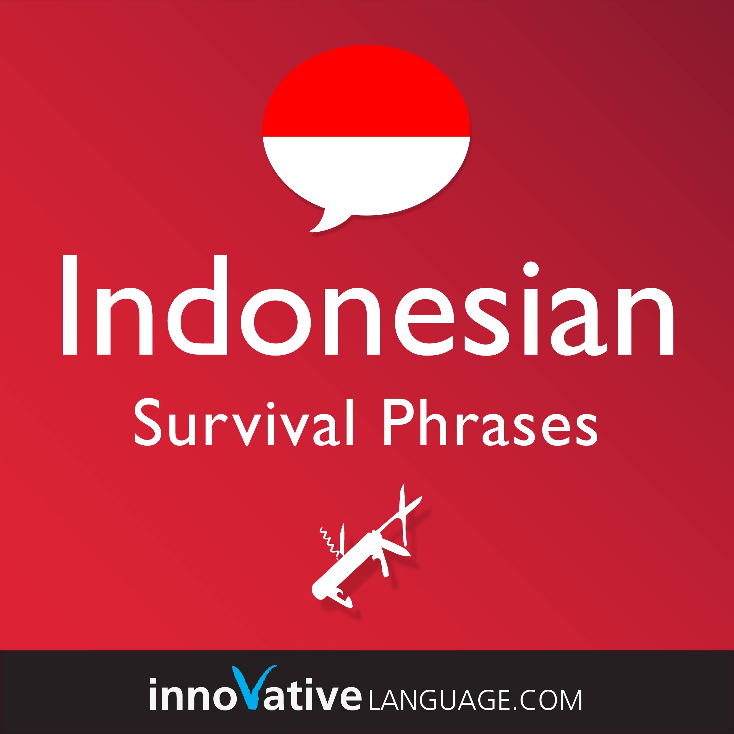 Free Survival Phrases audiobook for learning Indonesian while driving.