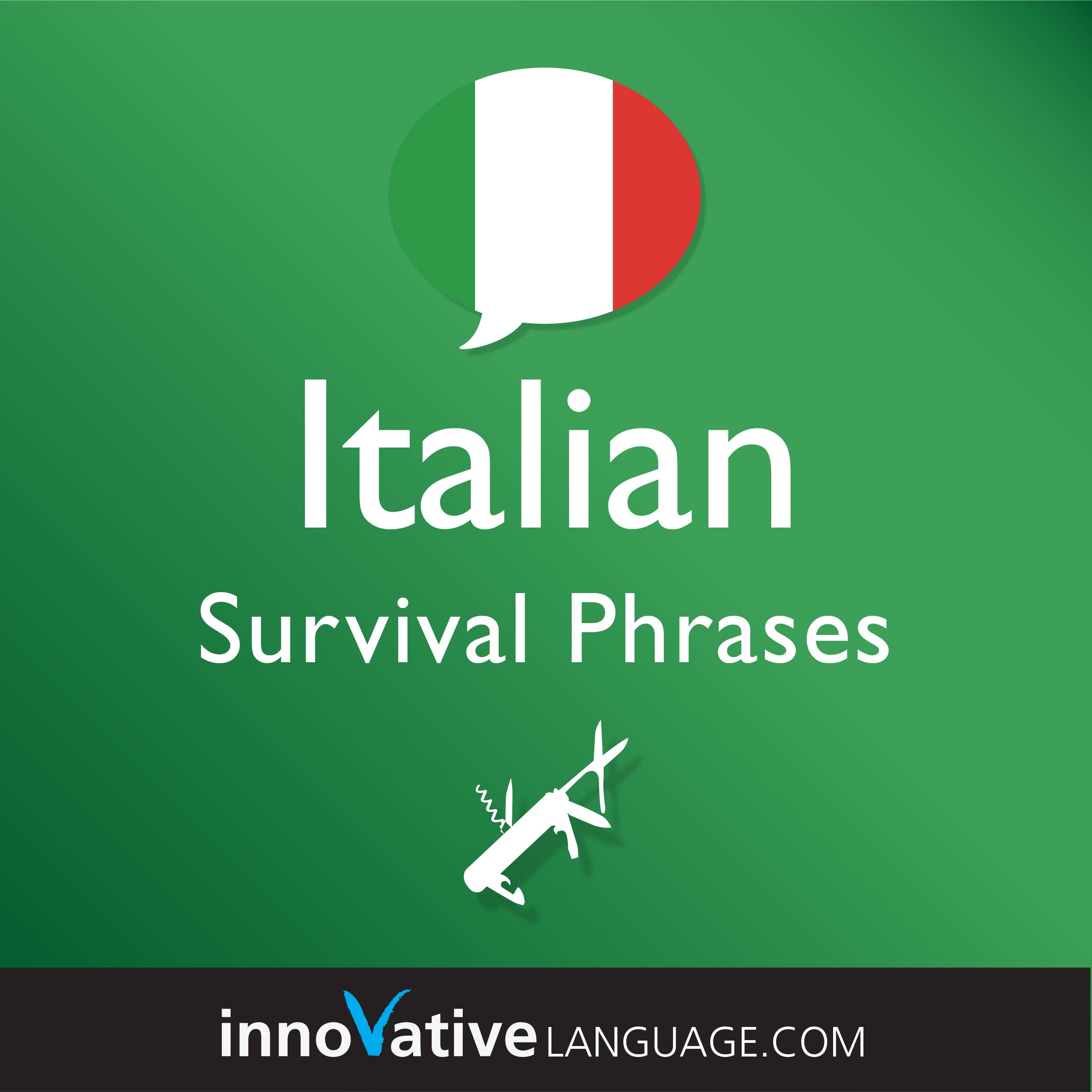 Free Survival Phrases audiobook for learning Italian while driving.