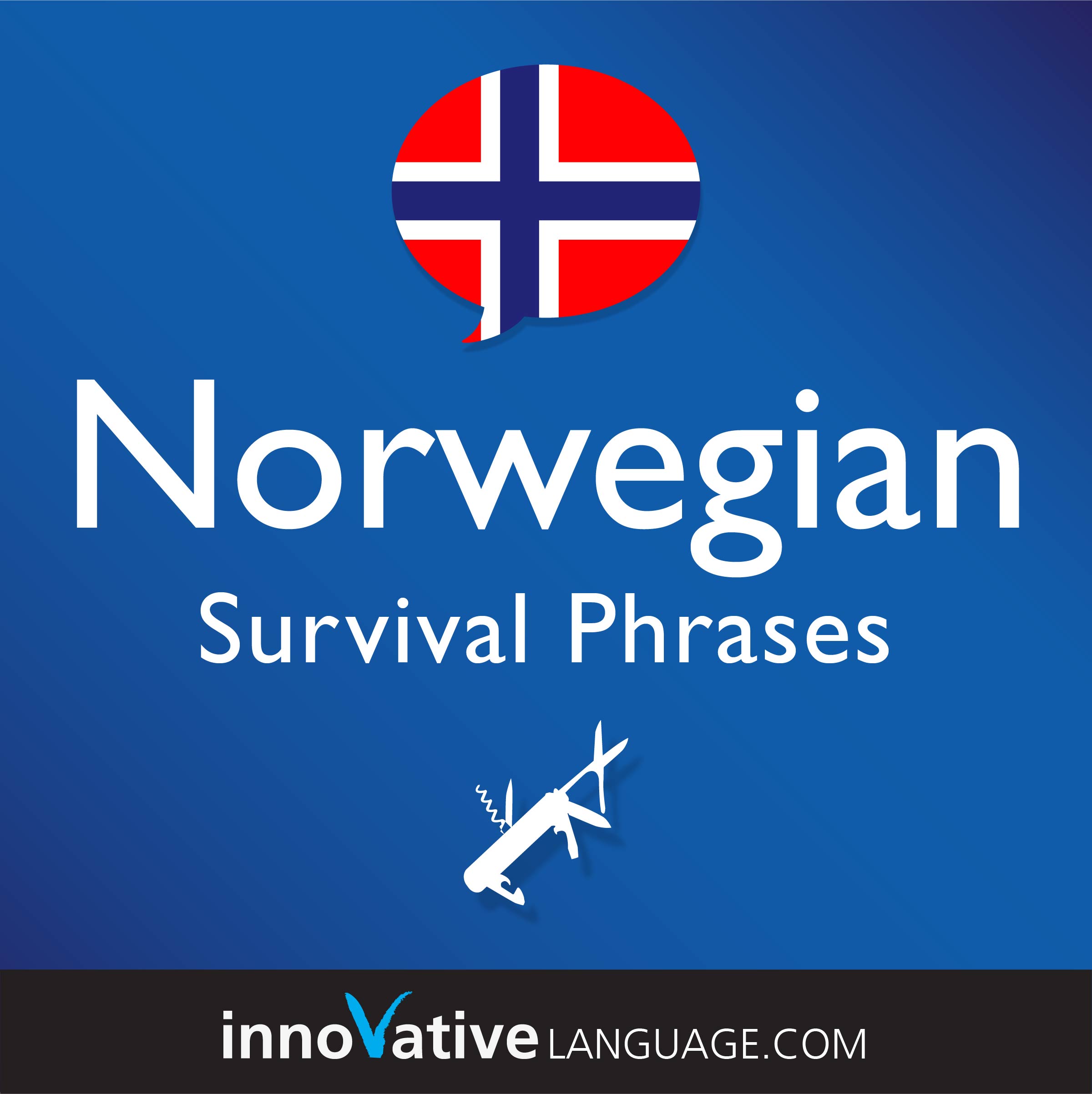 Free Survival Phrases audiobook for learning Norwegian while driving.