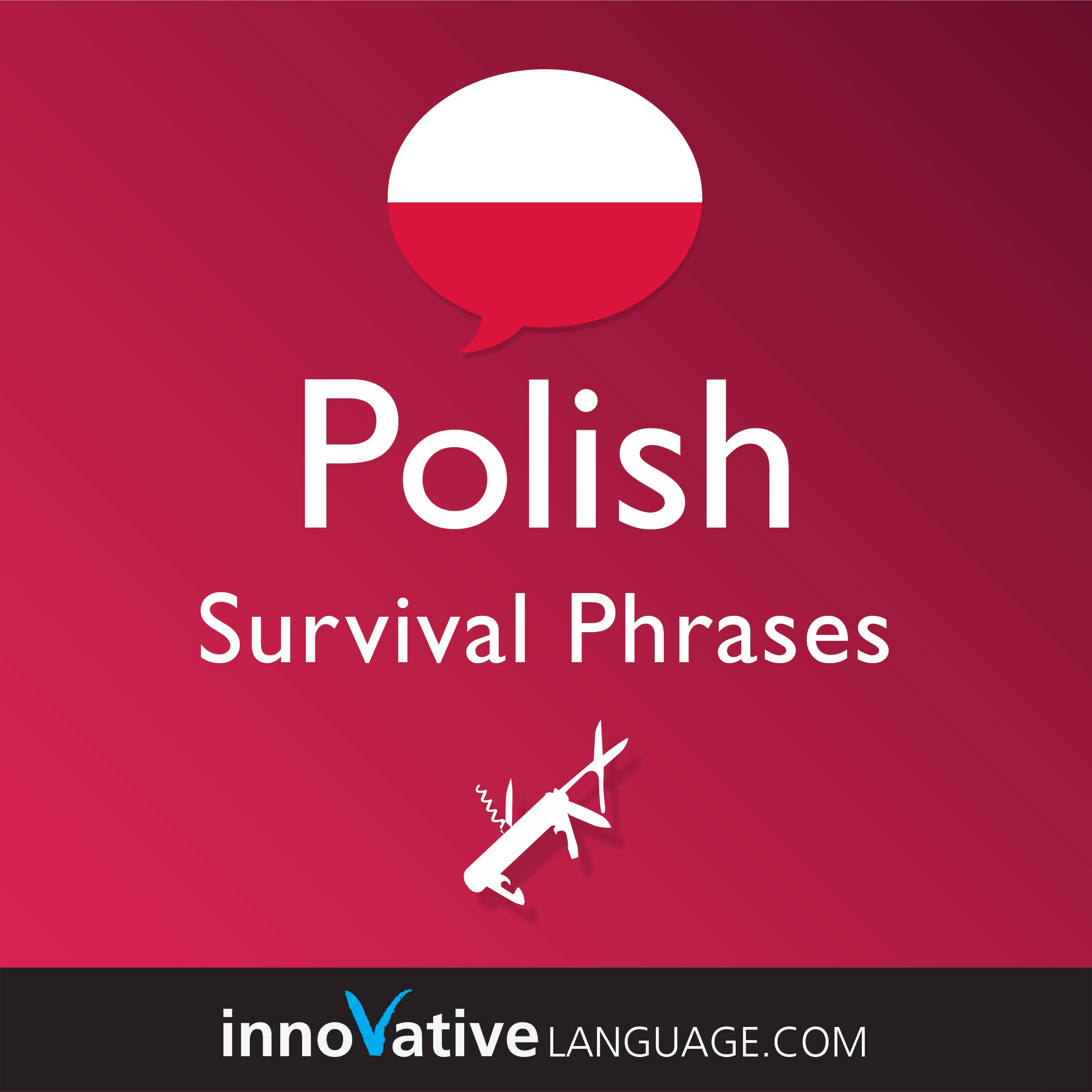 Free Survival Phrases audiobook for learning Polish while driving.
