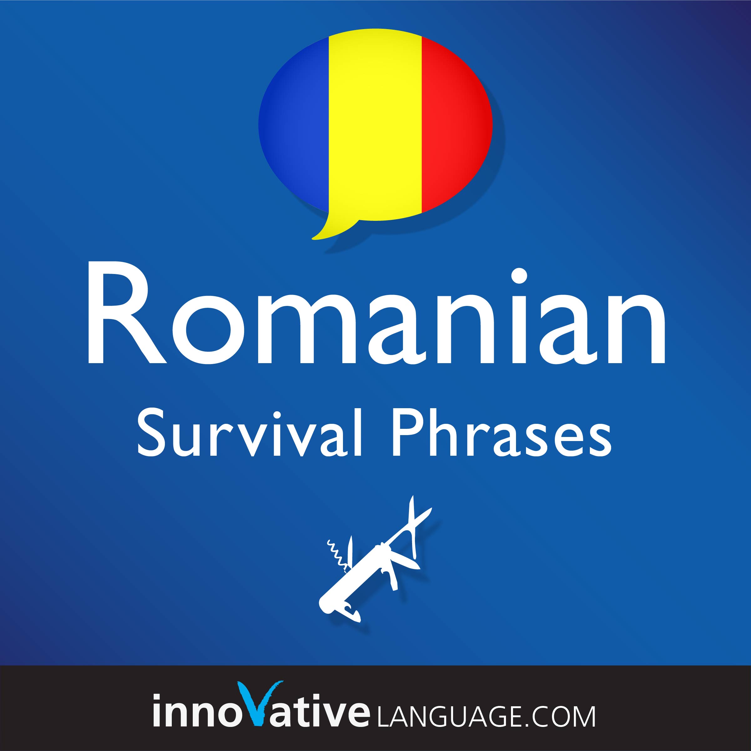 Free Survival Phrases audiobook for learning Romanian while driving.
