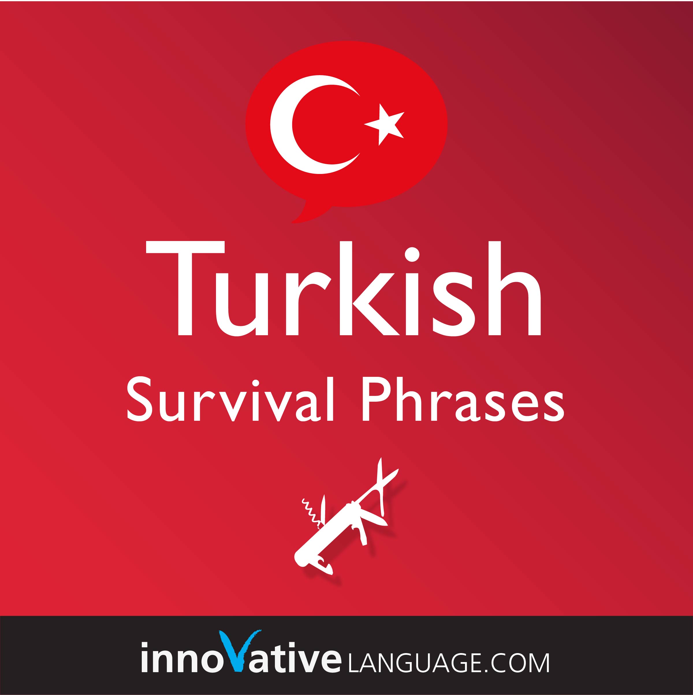 Free Survival Phrases audiobook for learning Turkish while driving.