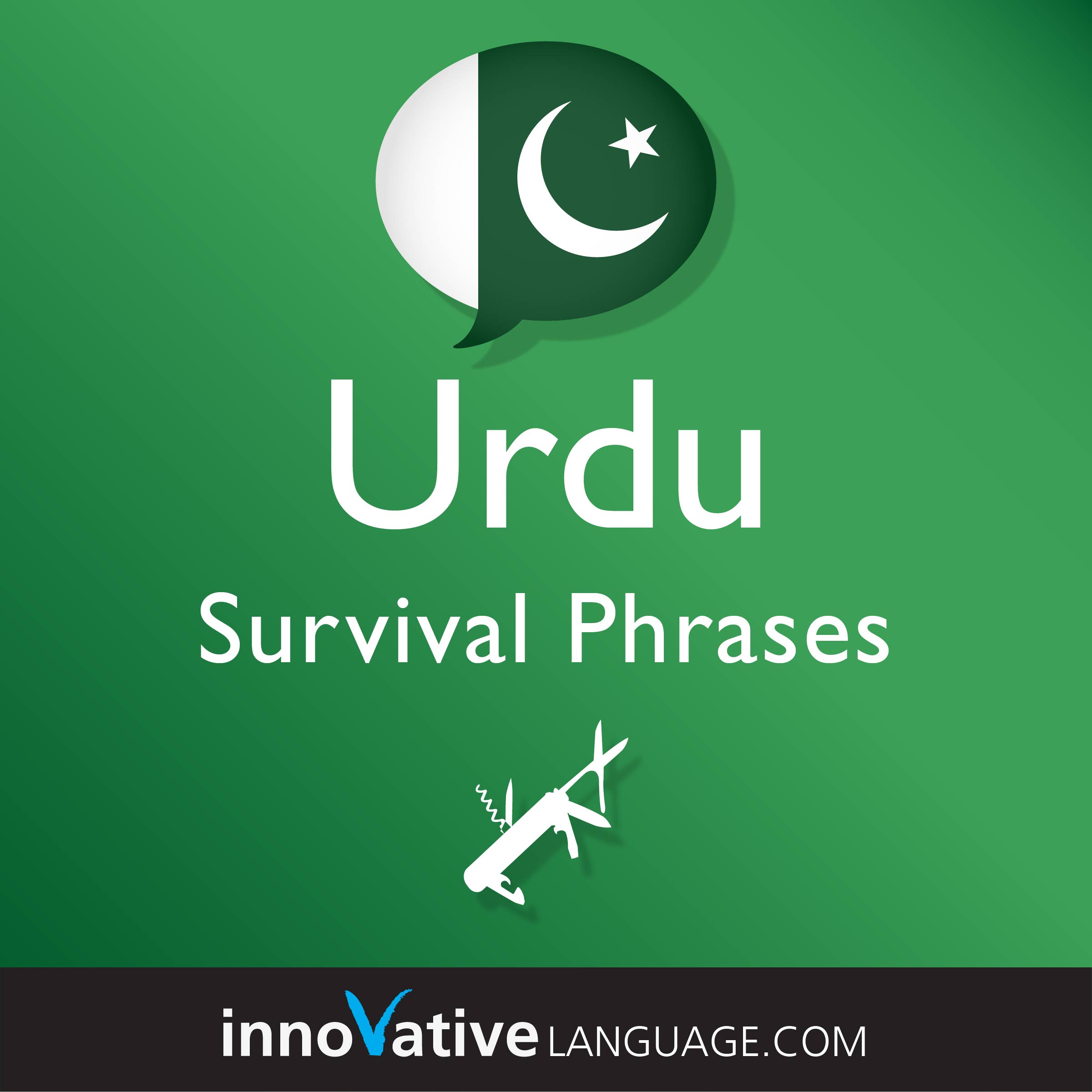 Free Survival Phrases audiobook for learning Urdu while driving.