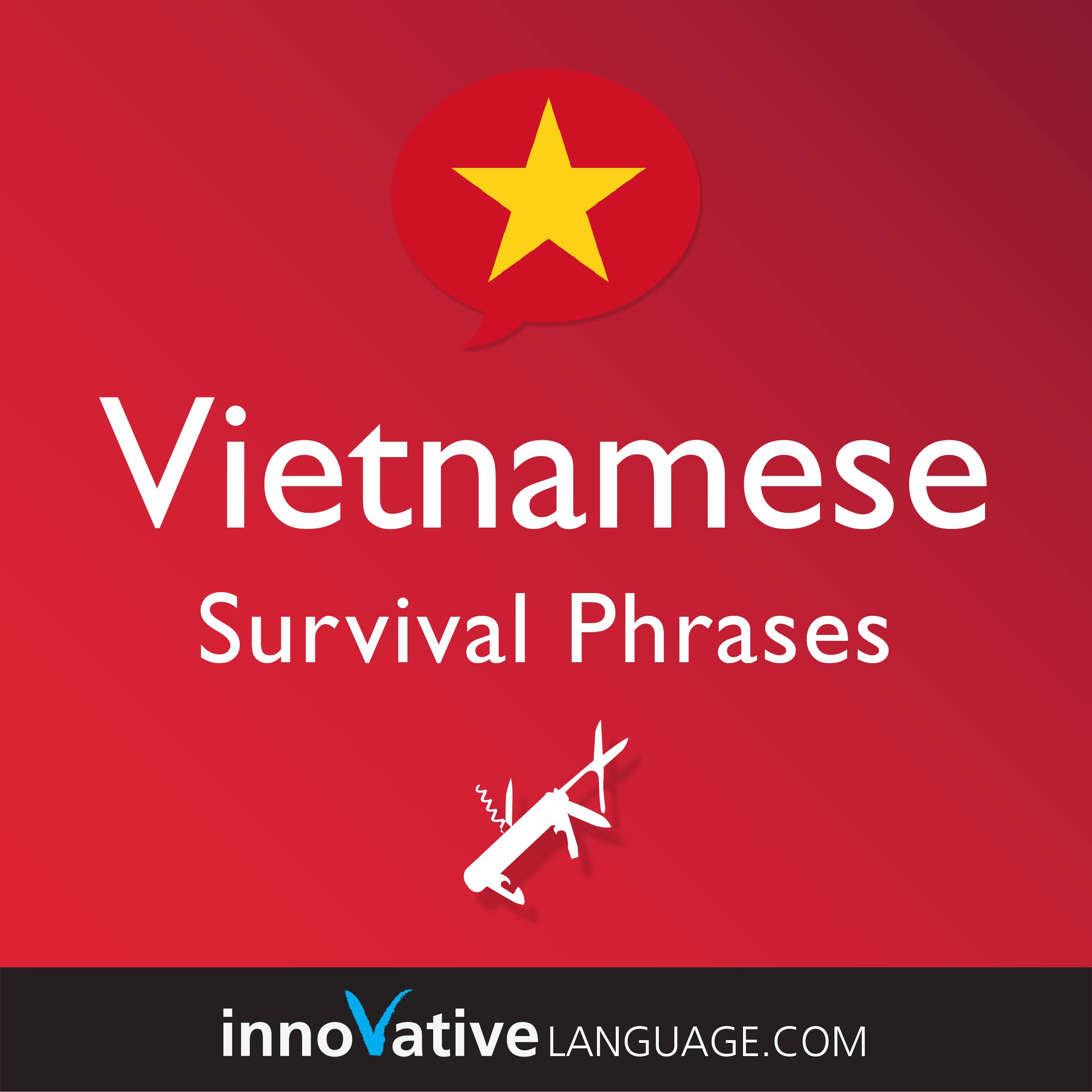Free Survival Phrases audiobook for learning Vietnamese while driving.