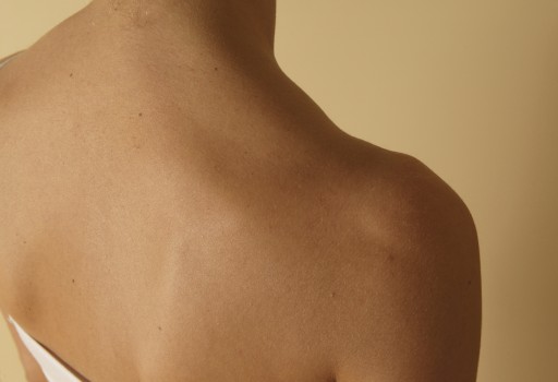 scapola shoulder blade